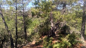 Les Jardins D'Arbousse