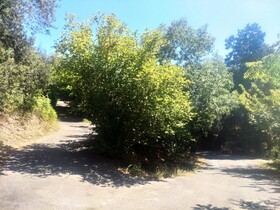 Les Jardins D'Arbousse