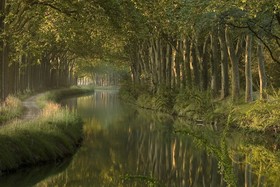 Le Moulin du Vivier