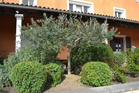 Hotel Le Saint Genies