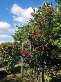 La Bastide Des Sources