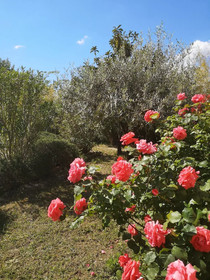 La Bastide Des Sources