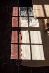 Maison Salix