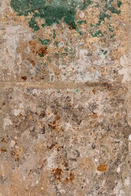 Maison Salix