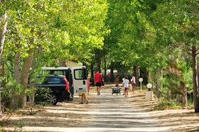 Camping Domaine La Yole
