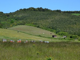 Cabanes Trésors de Campagne