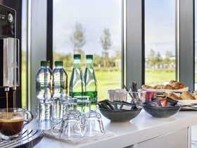 ibis Gonesse