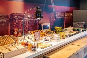 ibis Gonesse