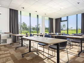 ibis Gonesse