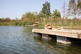 Les Etangs de la Bassee