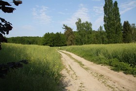 La Raimbaudière