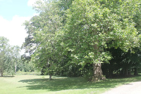 Domaine Du Plessis Luzarches