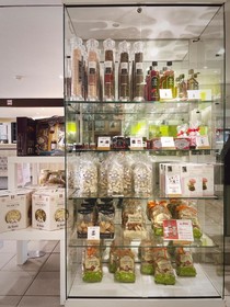 Hotel Kyriad Nemours
