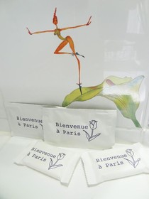 Hotel Amélie – Green Spirit Hotels Paris