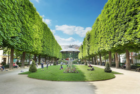 Yays Paris Zola By Numa