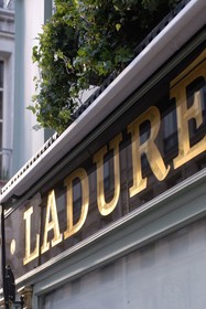 La Maison Saint Germain