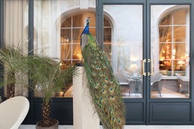 Le Bristol Paris