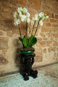 Le Clos Notre Dame