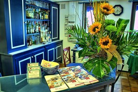Hotel Bleu France