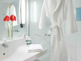 Novotel Survilliers Saint-Witz
