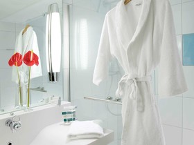 Novotel Survilliers Saint-Witz