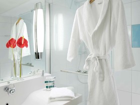 Novotel Survilliers Saint-Witz