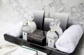 Waldorf Astoria Versailles Trianon Palace