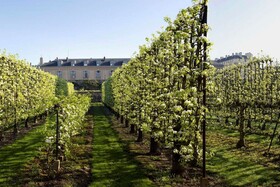 Waldorf Astoria Versailles Trianon Palace