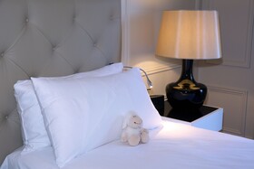 Waldorf Astoria Versailles Trianon Palace