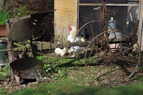 La Ferme De Flo