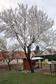 La Ferme De Flo