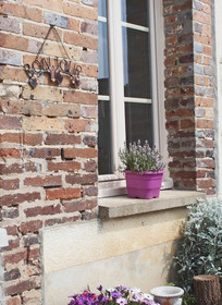 La Ferme De Flo