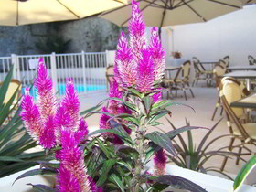 Brit Hotel Guéret