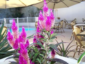 Brit Hotel Guéret
