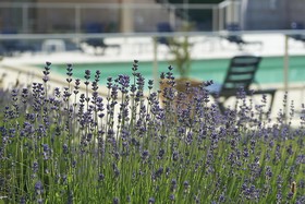 Citotel Les Alizés