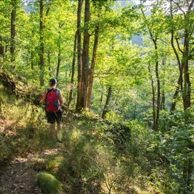 Camping Echo Du Malpas