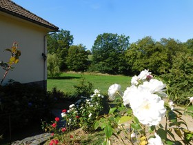 Du Coq A L'ame