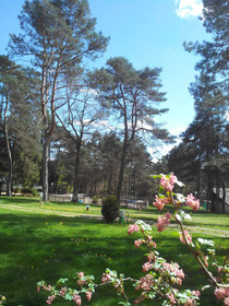 Camping Le Vianon