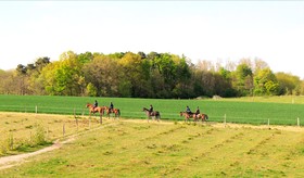 Centre Equestre D'Azay Le Rideau