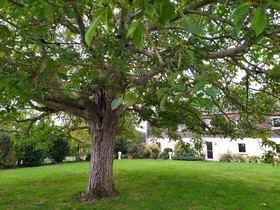 La Halte Aux Oiseaux