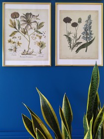 La Halte Aux Oiseaux