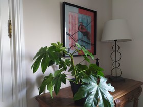 La Halte Aux Oiseaux