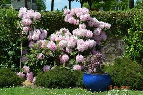 Le Castel