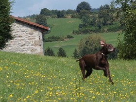Château des Marcilly Talaru