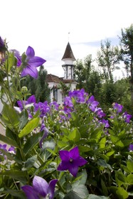 Hotel La Roseraie