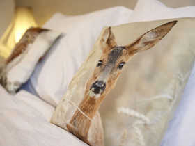 Gîte Nature Châteaux