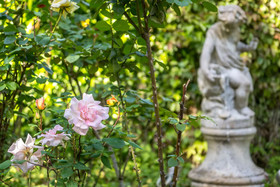 Le Manoir de Montecler