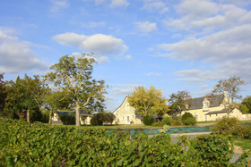 Les Camelias Des Demoiselles De Pallus