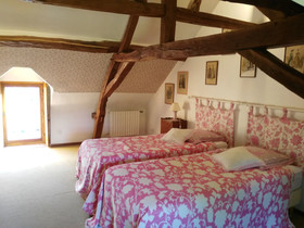 Les Camelias Des Demoiselles De Pallus