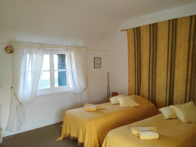 Les Camelias Des Demoiselles De Pallus